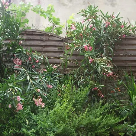 Le Petit Nid, Pour 2 * Beaumont-de-Lomagne