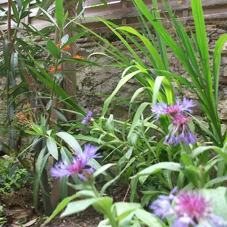 Daire Le Petit Nid, Pour 2 Beaumont-de-Lomagne