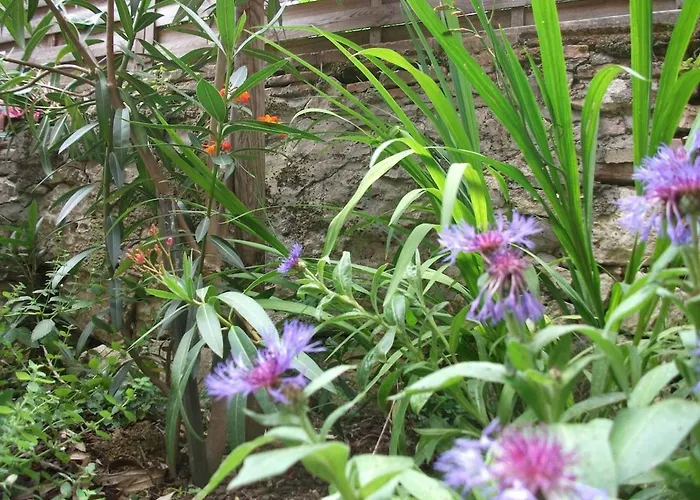 Apartment Le Petit Nid, Pour 2 Beaumont-de-Lomagne